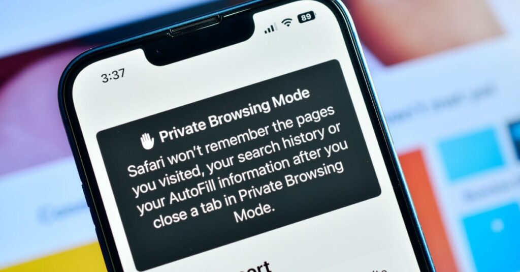 Incognito Browsing History